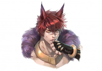 Картинка видео+игры league+of+legends лицо ушки воротник перчатка sett