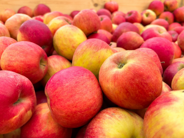 Обои картинки фото еда, яблоки, краснобокие