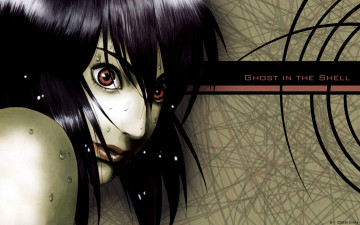 Картинка аниме ghost in the shell