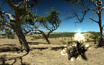 Картинка природа деревья