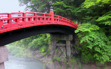 Картинка природа парк