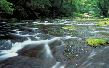 Картинка природа реки озера