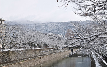 Картинка природа зима