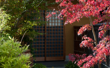 Картинка разное элементы архитектуры