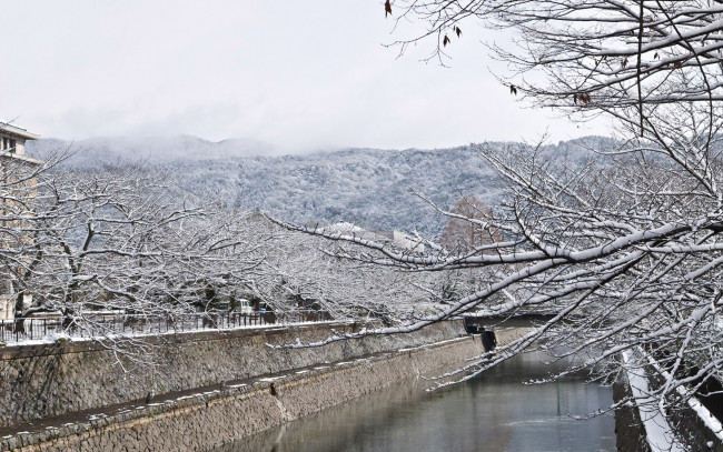 Обои картинки фото природа, зима