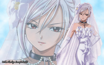 Картинка аниме rosario vampire