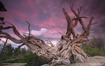 Картинка природа другое