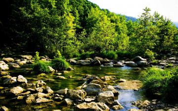 Картинка природа реки озера