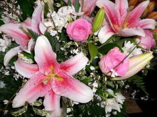 Картинка цветы разные вместе лилии розы