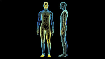 Картинка 3д графика creatures существа