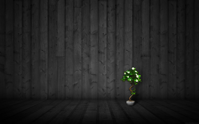 Обои картинки фото 3д, графика, textures, текстуры, текстура