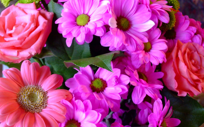 Обои картинки фото автор, ana, цветы, разные, вместе, розы, хризантемы