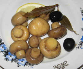 Картинка еда грибы грибные блюда тарелка