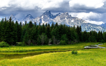 Картинка grand teton national park природа пейзажи горы ручей речка лес деревья