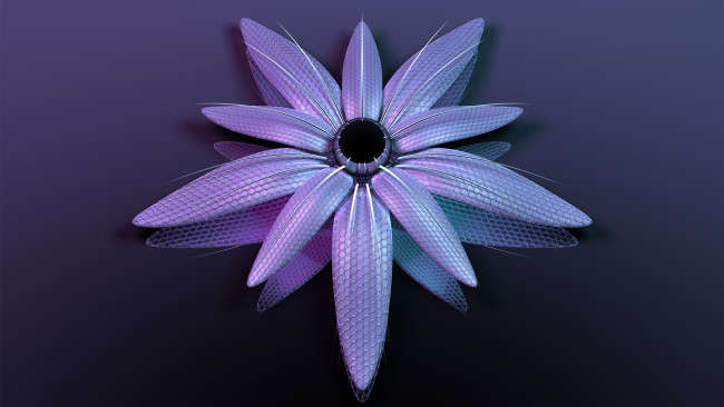 Обои картинки фото 3д, графика, flowers, цветы, лепестки, фон