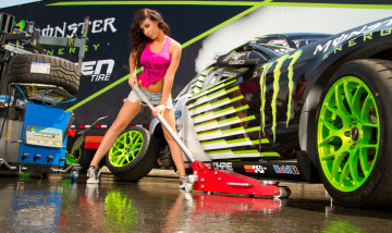 обоя автомобили, авто с девушками, ford, sarah, mcdowd, mustang