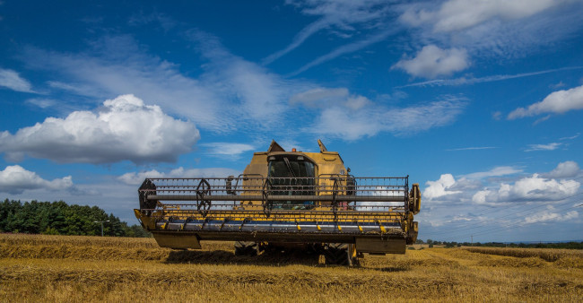 Обои картинки фото техника, комбайны, комбайн, поле