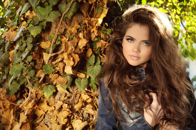 Обои картинки фото девушки, -unsort , брюнетки,  шатенки, осень, волосы