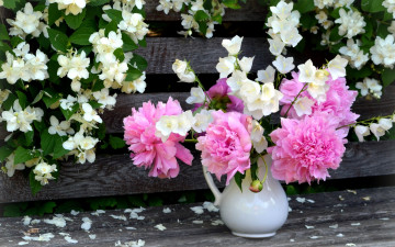 Картинка цветы разные+вместе букет жасмин колокольчики пионы куст