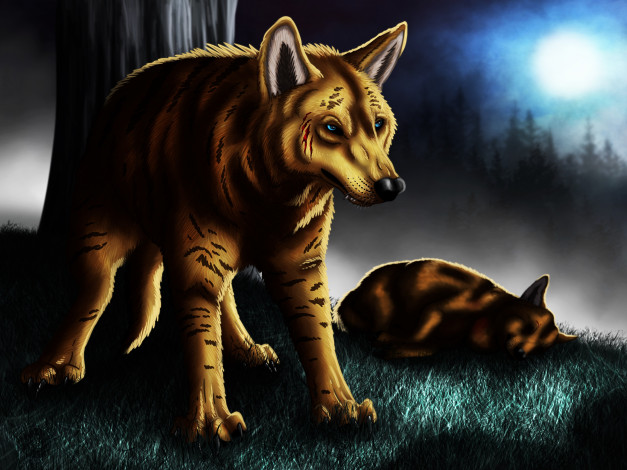 Обои картинки фото рисованное, животные,  собаки, собака, взгляд