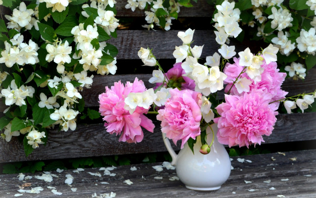 Обои картинки фото цветы, разные вместе, букет, жасмин, колокольчики, пионы, куст