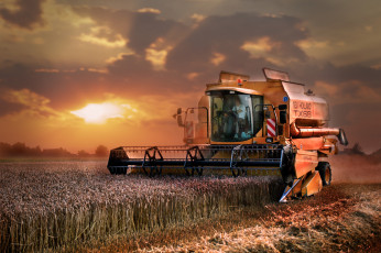обоя техника, комбайны, жатва