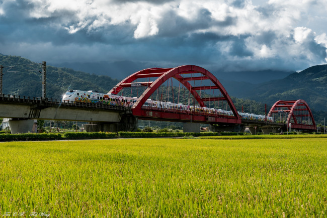 Обои картинки фото техника, поезда, локомотив, рельсы, состав