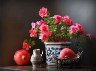 Картинка еда гранат натюрморт с цветами и фруктами азалией гранатами