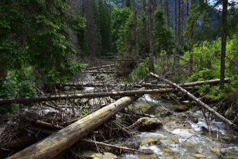 Картинка природа реки озера простор