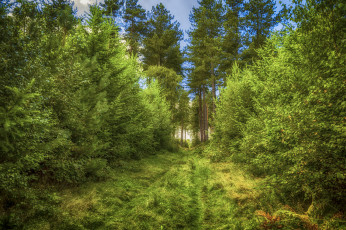 Картинка природа дороги простор