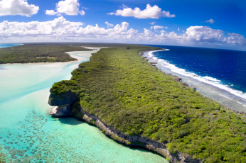 обоя природа, моря, океаны, море, пляж, деревья, вода, побережье