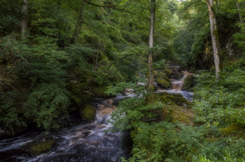 Картинка природа реки озера простор