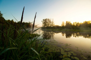 Картинка природа реки озера простор