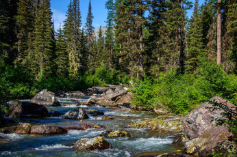 Картинка природа реки озера простор