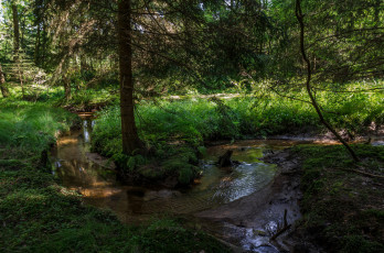 Картинка природа реки озера простор