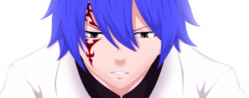 Картинка аниме fairy+tail хвост феи