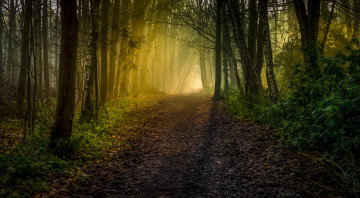 Картинка природа дороги простор