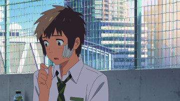 обоя аниме, kimi no na wa, фон, взгляд, парень