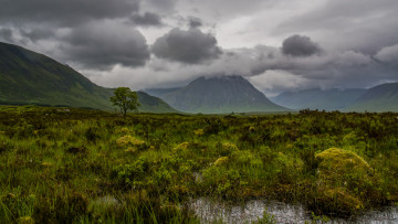 Картинка природа пейзажи простор