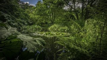 Картинка природа реки озера простор