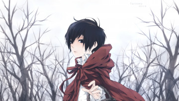 Картинка аниме katekyo+hitman+reborn учитель мафиози реборн