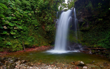 Картинка природа водопады скалы деревья водопад лес