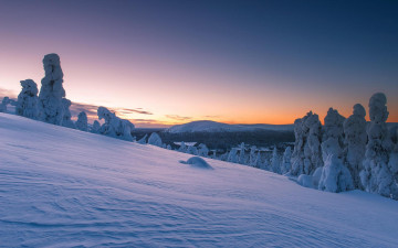Картинка природа зима сугробы деревья снег лапландия