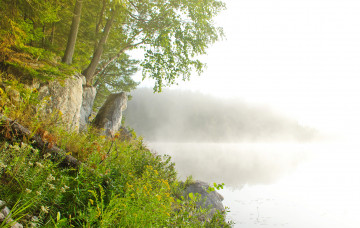 Картинка природа реки озера простор