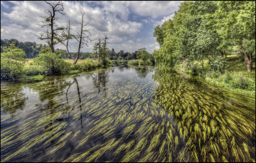 Картинка природа реки озера простор