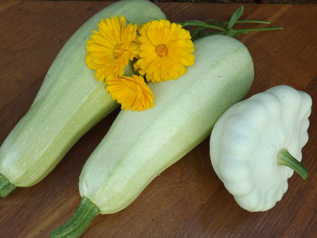 Обои картинки фото еда, овощи, урожай, патиссон, календула, кабачки