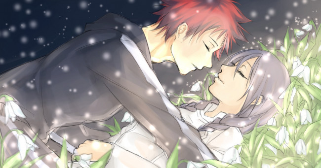 Обои картинки фото аниме, shokugeki no soma, романтика