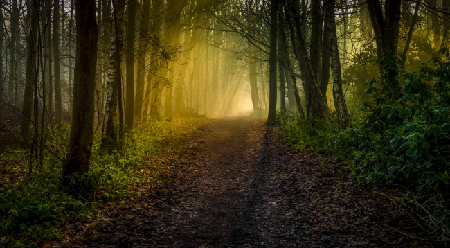 Обои картинки фото природа, дороги, простор