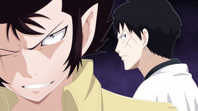 Обои картинки фото аниме, fairy tail, хвост, феи