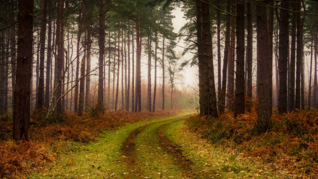 Обои картинки фото природа, дороги, простор